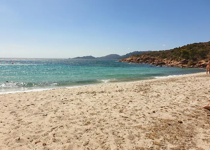 Domaine De La Punta *