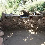 Vakantiehuis Domaine De La Punta Porto-Vecchio (Corsica)