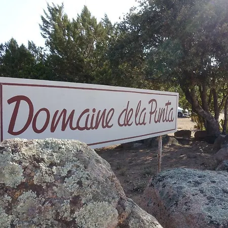 Domaine De La Punta