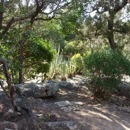 Domaine De La Punta Casa vacanze *